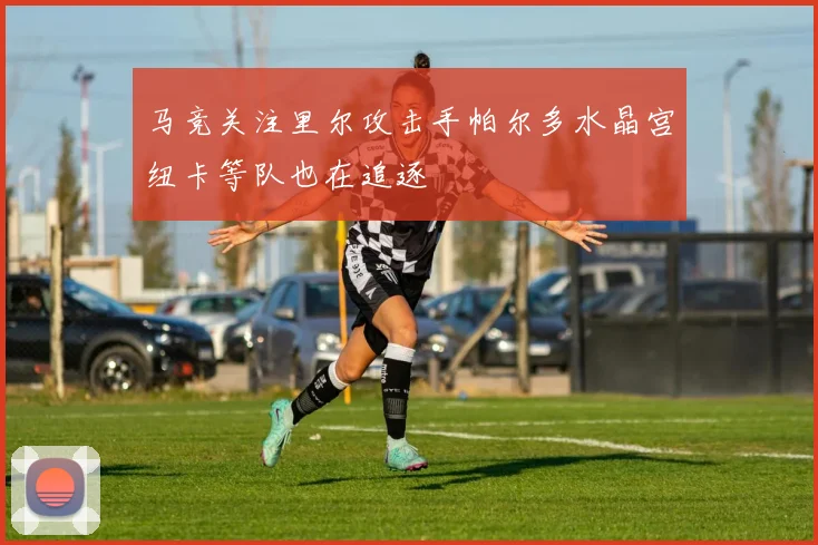 马竞关注里尔攻击手帕尔多水晶宫纽卡等队也在追逐